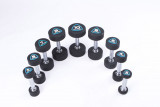 Гантели в уретане LIVEPRO Studio Dumbbells 6 кг, черный/синий