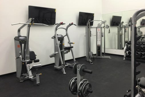 Гравитрон - подтягивание / отжимание с противовесом Hoist HD-3700 Гравитрон - подтягивание / отжимание с противовесом Hoist HD-3700