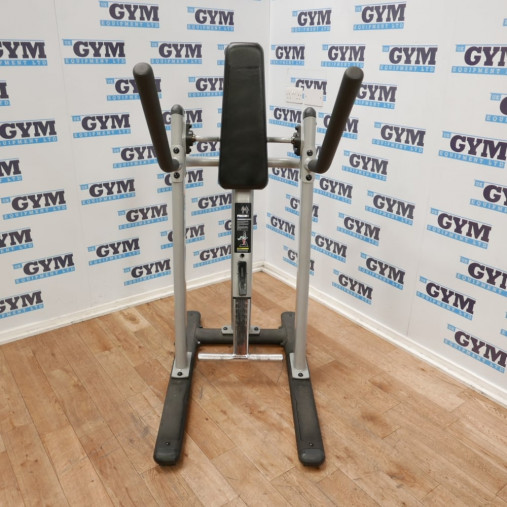 Живая фото от клиента PRECOR AB 103 Подъем коленей к груди с отягощением 