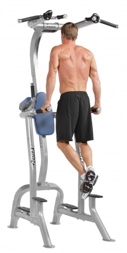 Стойка турник / брусья / поднятие колен, пресс Hoist CF-3962 Fitness Tree Стойка турник / брусья / поднятие колен, пресс Hoist CF-3962 Fitness Tree