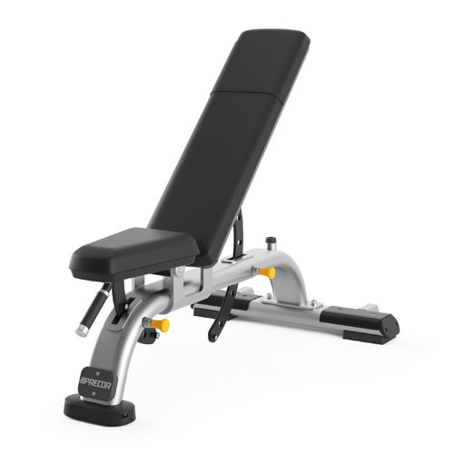 Универсальная скамья PRECOR DBR119 (рама: черный / обивка: черный) Универсальная скамья PRECOR DBR119 (рама: черный / обивка: черный)