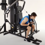 Horizon Home Gym Torus 5 Силовой комплекс мультистанция