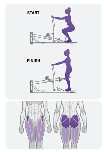 Тренажер приседание с поясом серии Peach Builder PB312 на свободных весах Тренажер приседание с поясом серии Peach Builder PB312 на свободных весах